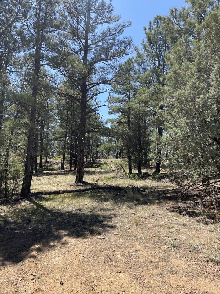 https://bt-photos.global.ssl.fastly.net/spanishpeaks/1280_boomver_1_22-632-2.jpg