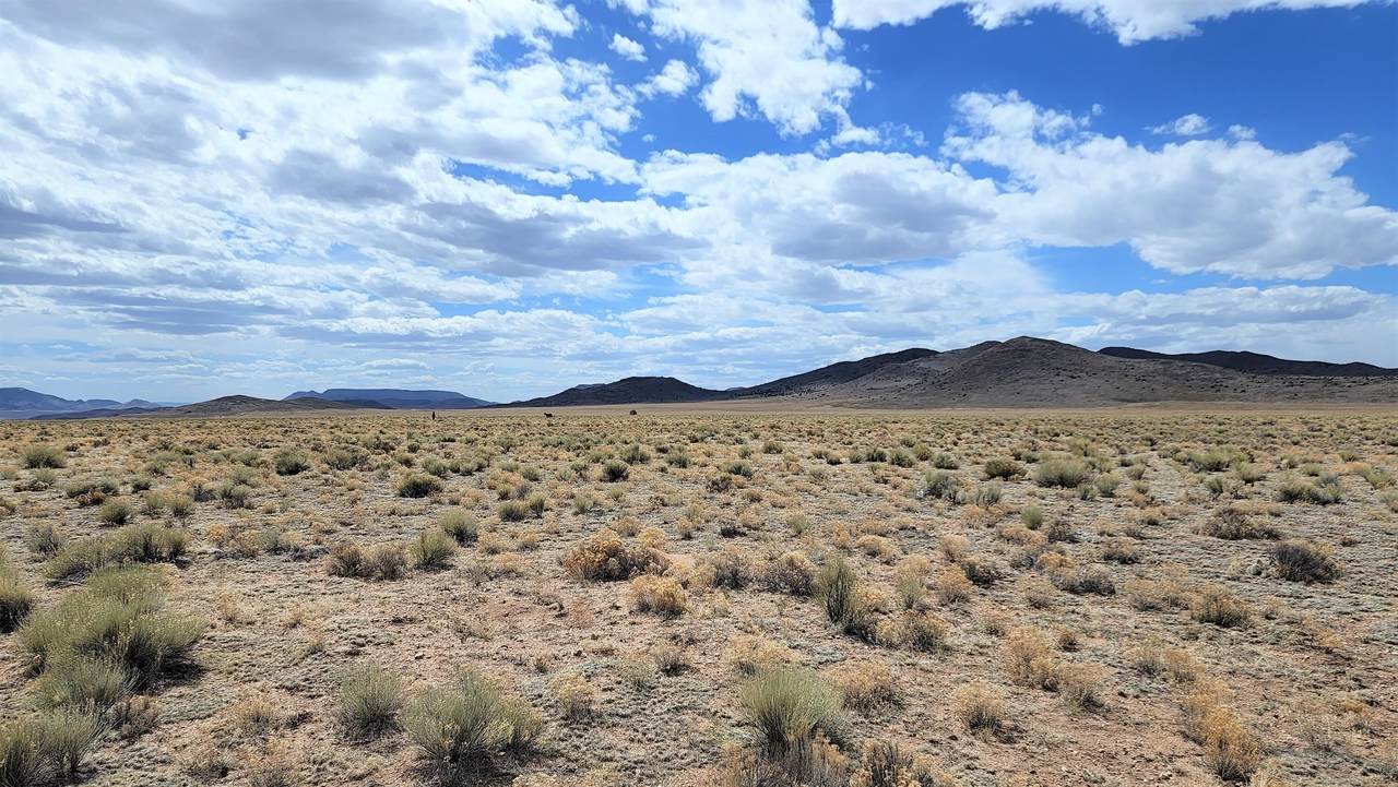Vacant Land - Photo 1