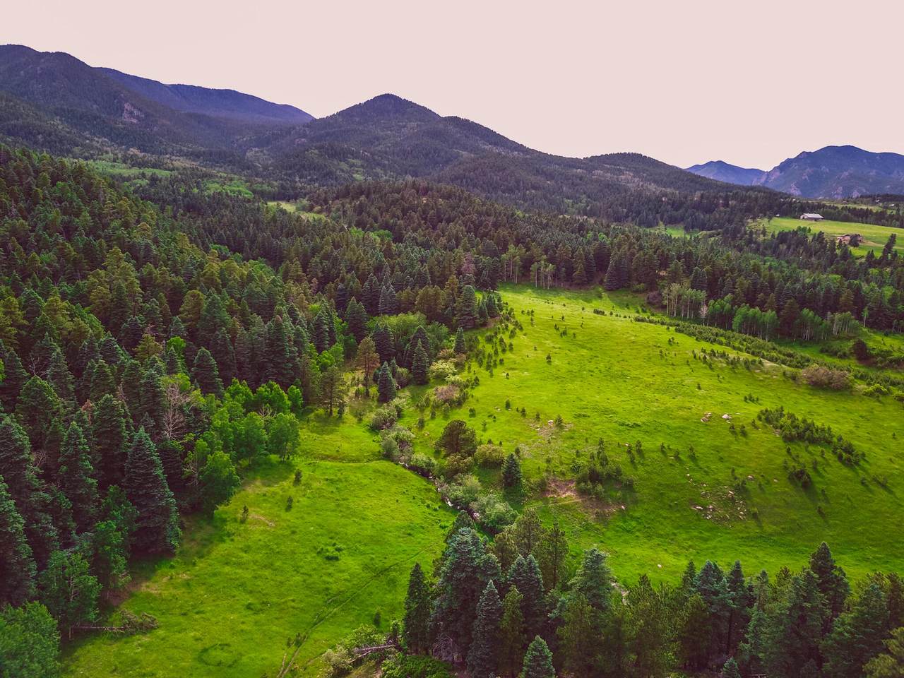 TBD Hwy 165 - Photo 1