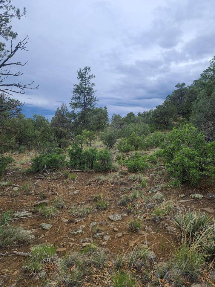 lot 216 Spanish Highlands - Photo 1