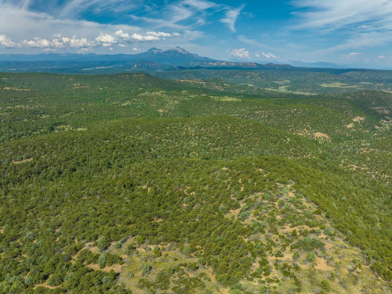 TBD Co Rd 55.4 - Photo 1