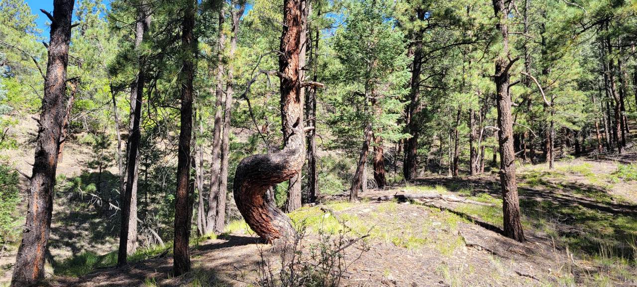https://bt-photos.global.ssl.fastly.net/spanishpeaks/1280_boomver_1_23-1012-2.jpg
