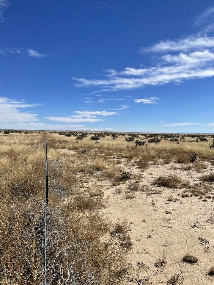 TBD County Rd 74.2 - Photo 1