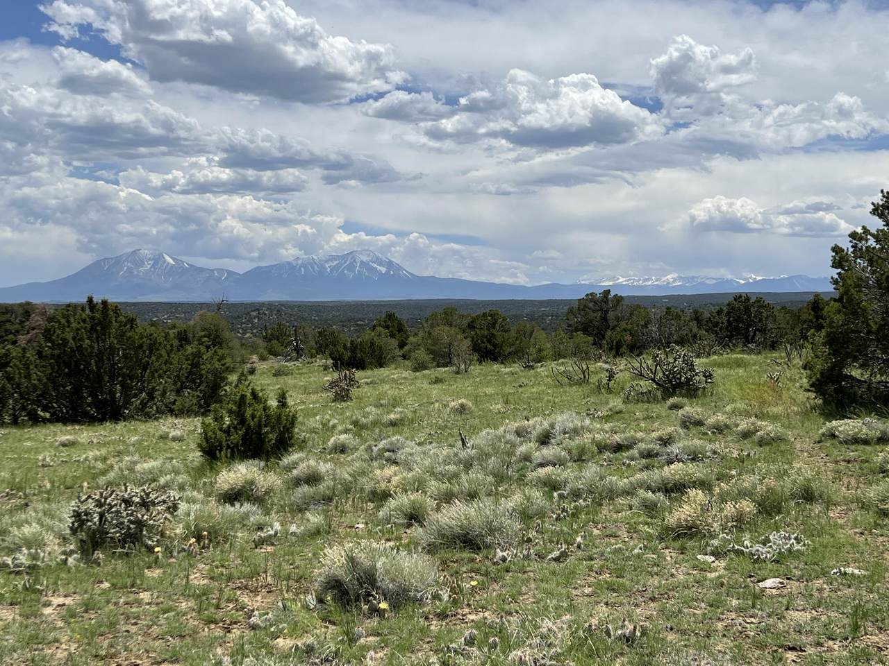 TBD Cr 521.3 - Photo 1