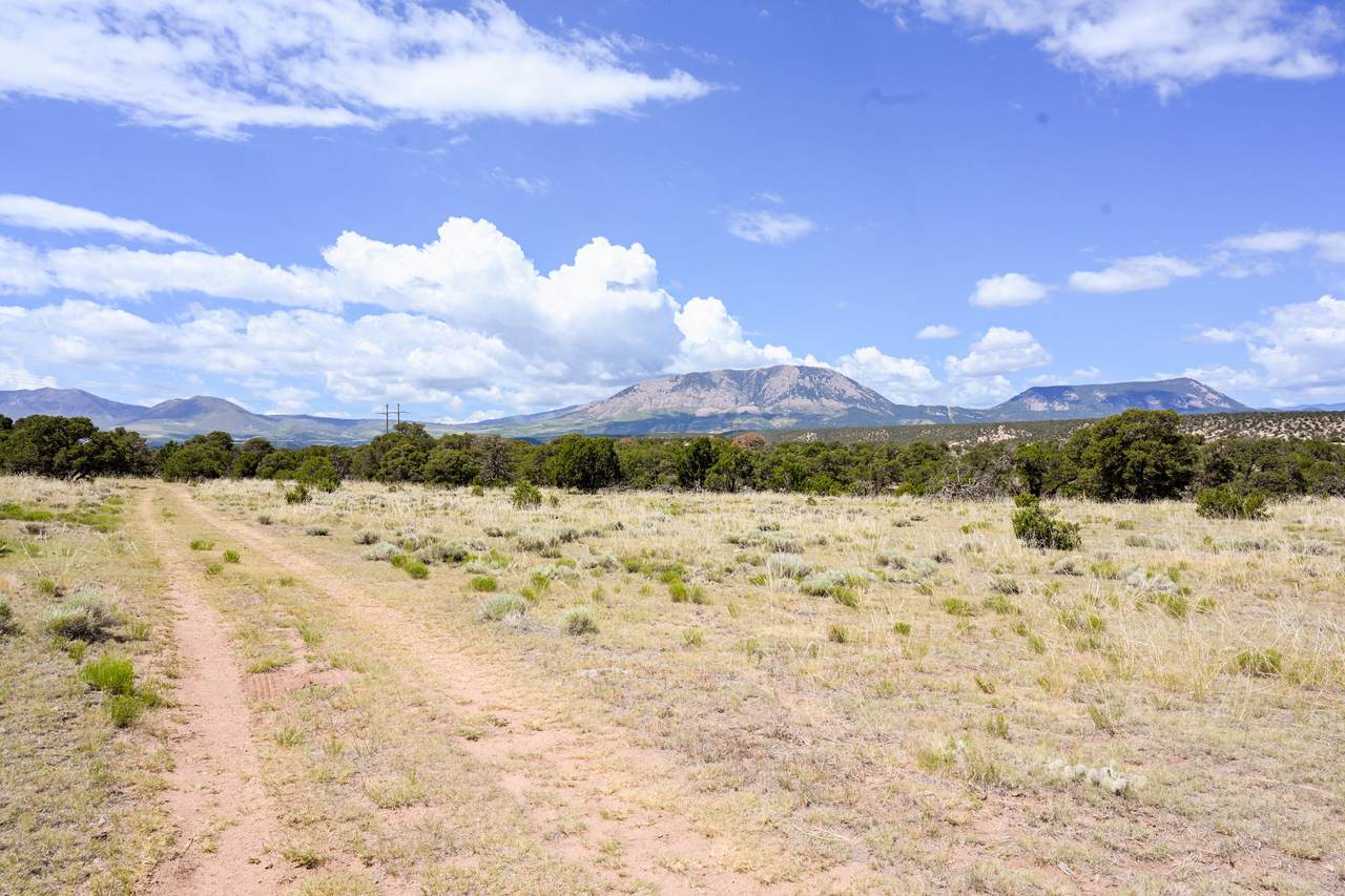 46 & 47 Colorado Land & Grazing - Photo 1
