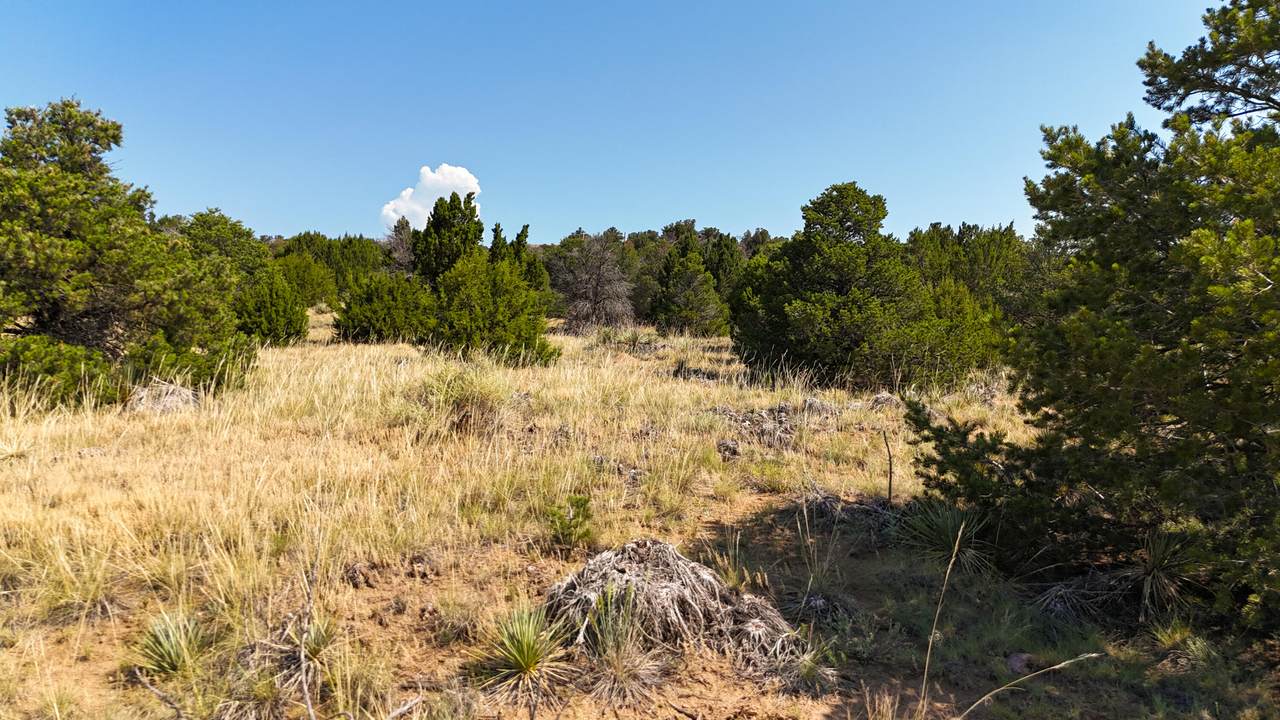 https://bt-photos.global.ssl.fastly.net/spanishpeaks/1280_boomver_1_24-710-2.jpg