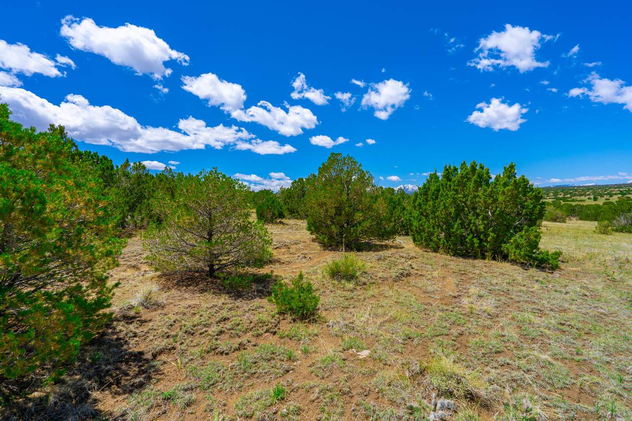 https://bt-photos.global.ssl.fastly.net/spanishpeaks/1280_boomver_1_24-75-2.jpg