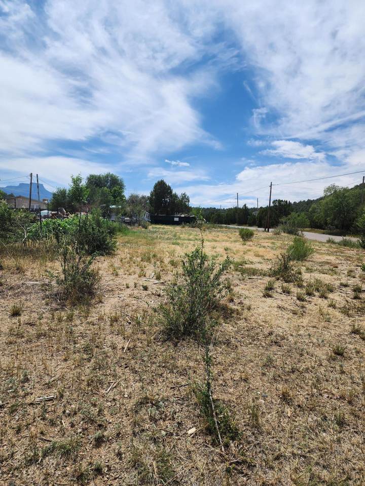 1002 Imperial St - Photo 1