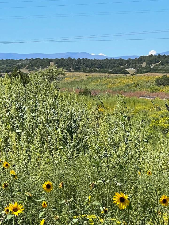 https://bt-photos.global.ssl.fastly.net/spanishpeaks/1280_boomver_1_24-799-2.jpg