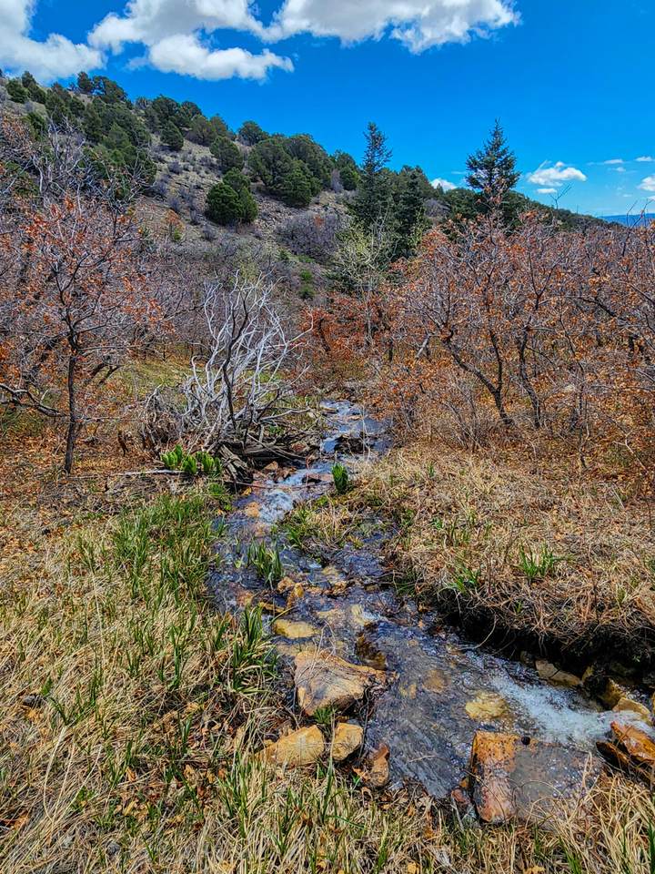 https://bt-photos.global.ssl.fastly.net/spanishpeaks/1280_boomver_1_24-802-2.jpg