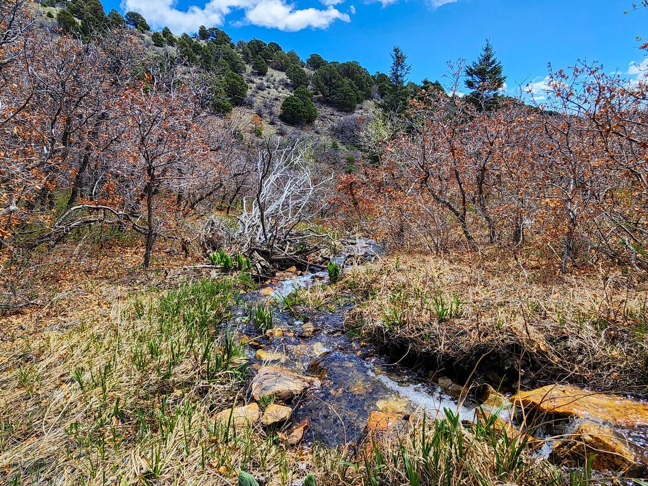 https://bt-photos.global.ssl.fastly.net/spanishpeaks/1280_boomver_1_24-802-2.jpg