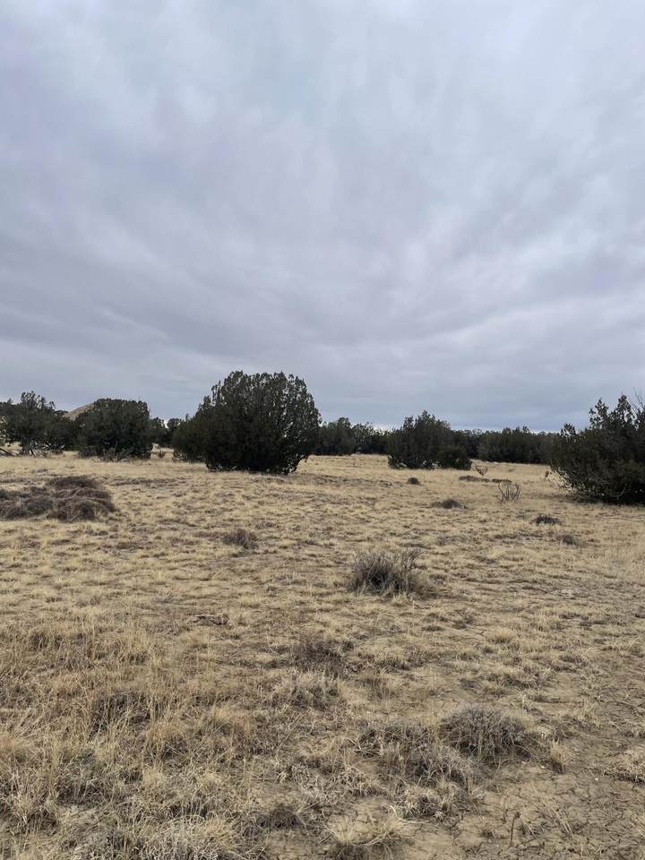 TBD County Rd 78.0 - Photo 1