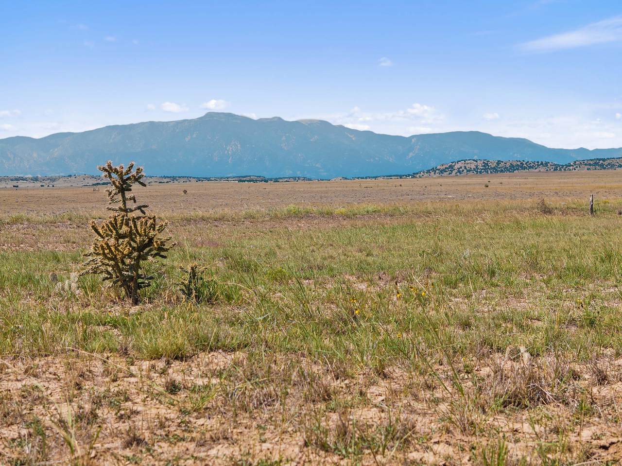 TBD County Road 113 - Photo 1