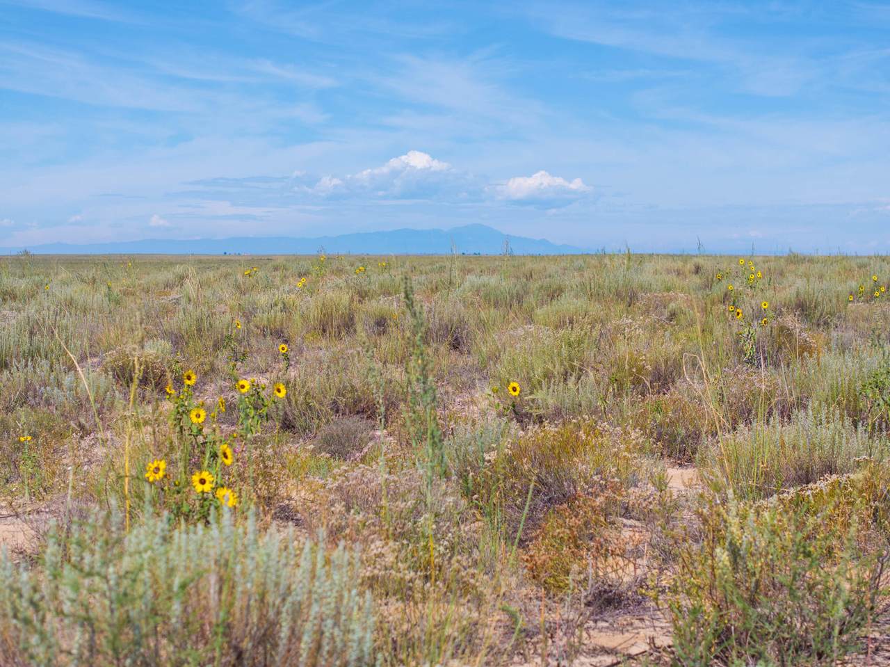 TBD County Lane #1 - Photo 1