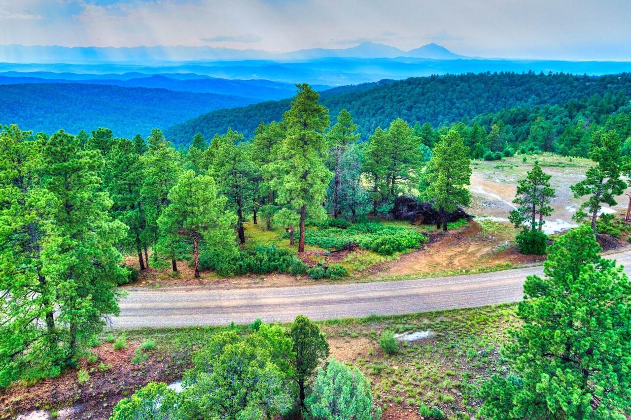 3420 Currant Ct - Photo 1