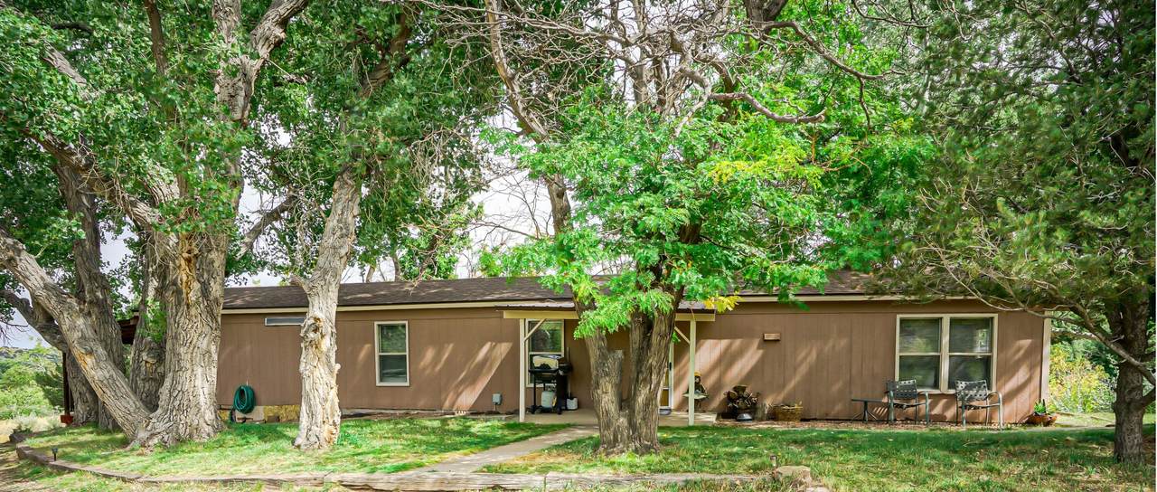 301 Ryus Ave - Photo 1