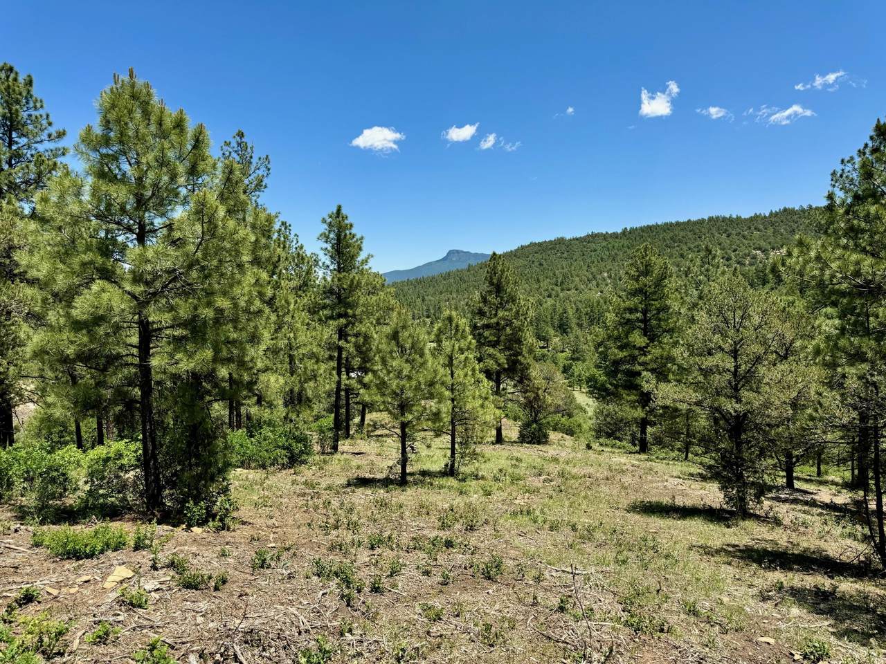 https://bt-photos.global.ssl.fastly.net/spanishpeaks/orig_boomver_1_25-1053-2.jpg