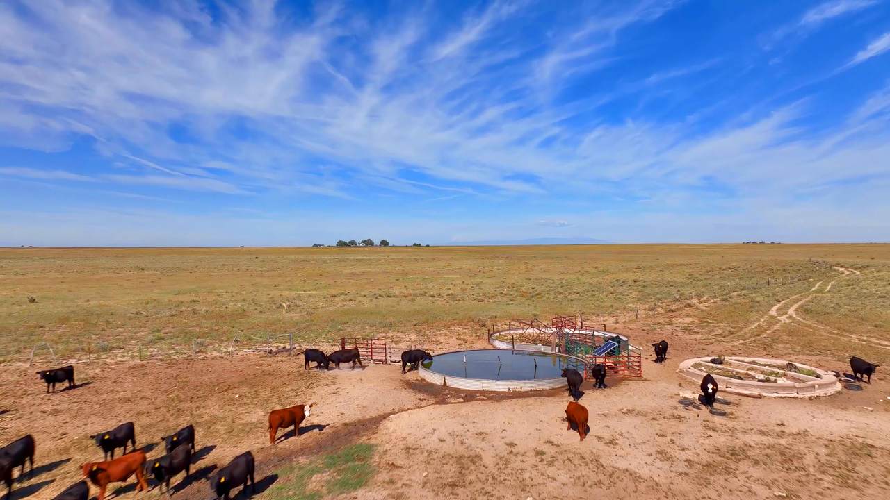 TBD County Road Bb - Photo 1