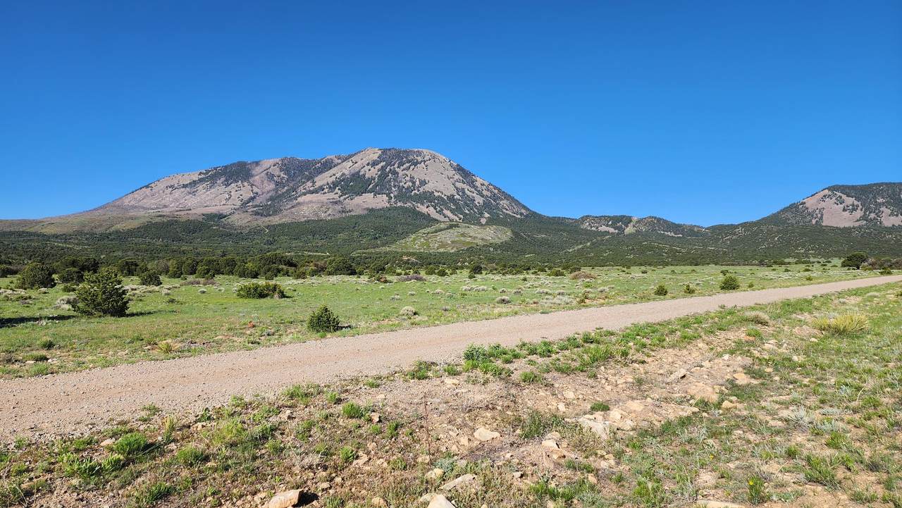 60 Colorado Land & Grazing - Photo 1