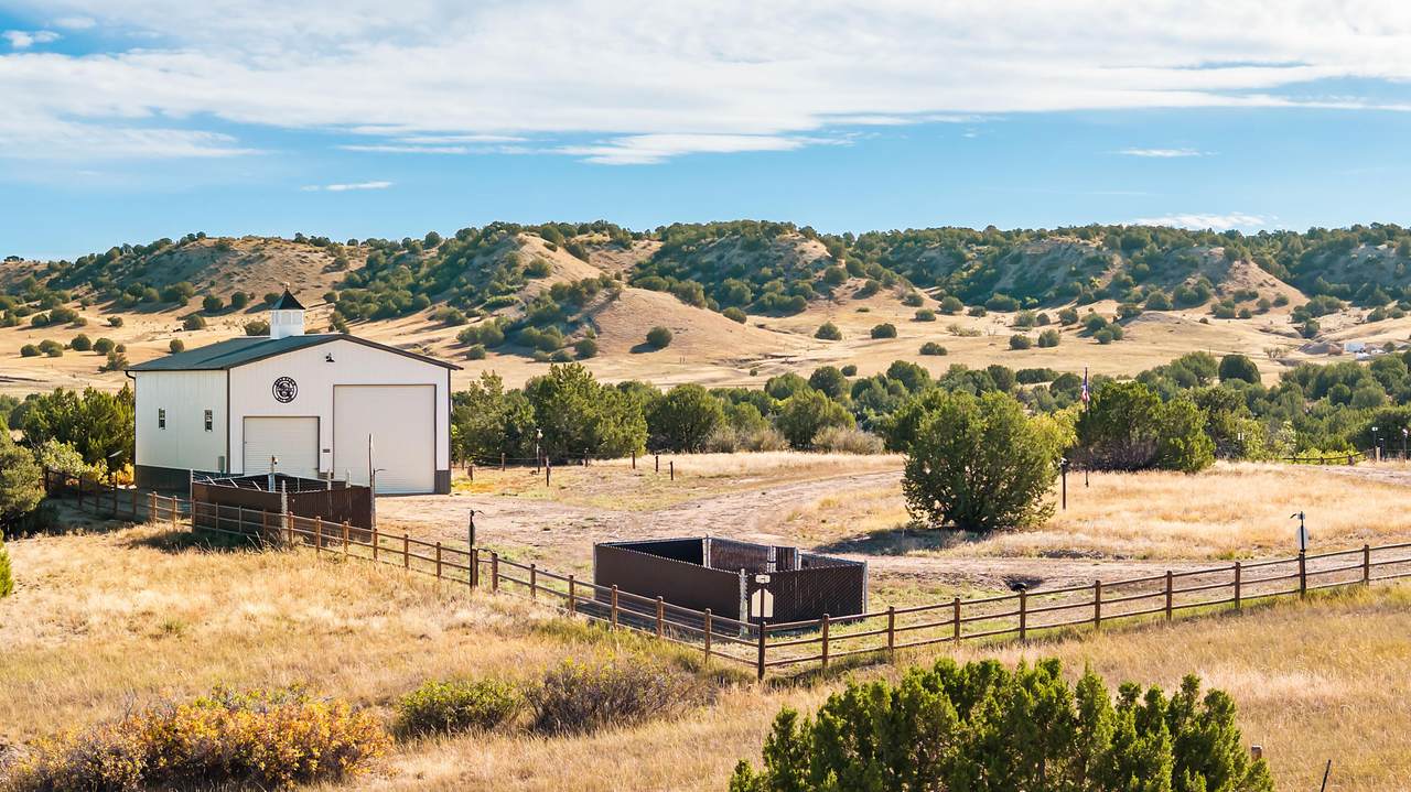 7788 Pine Bluff Drive - Photo 1