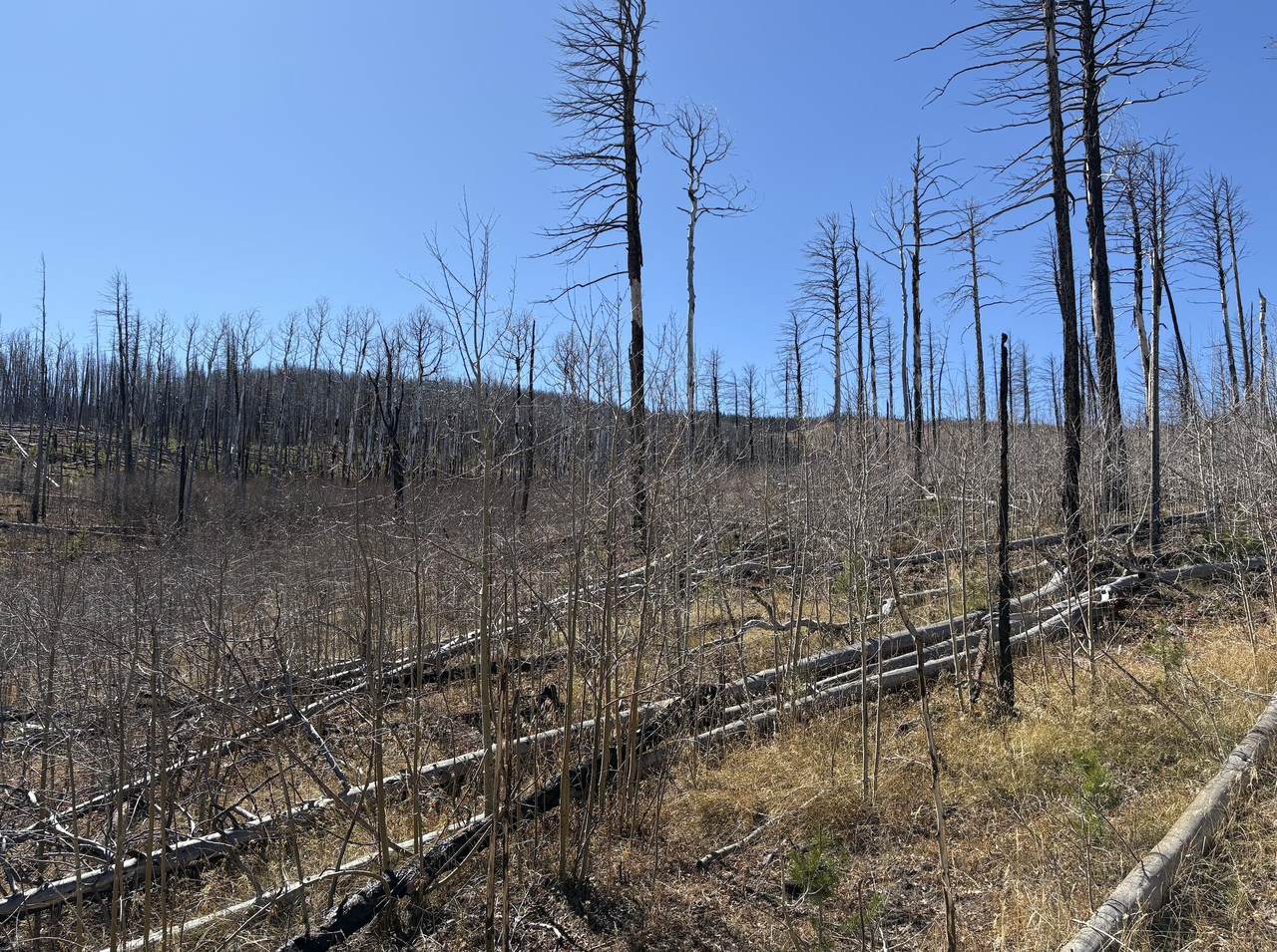 842 Slaoui - Photo 1