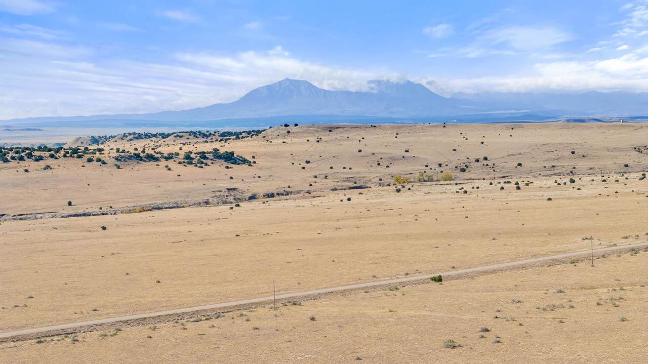 TBD County Road 121 - Photo 1