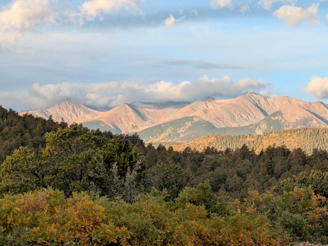 14341 Northridge Rd - Photo 1