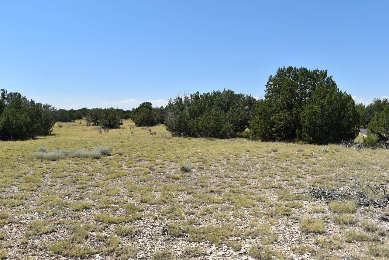 Lot 36 County Rd 93.9 - Photo 1