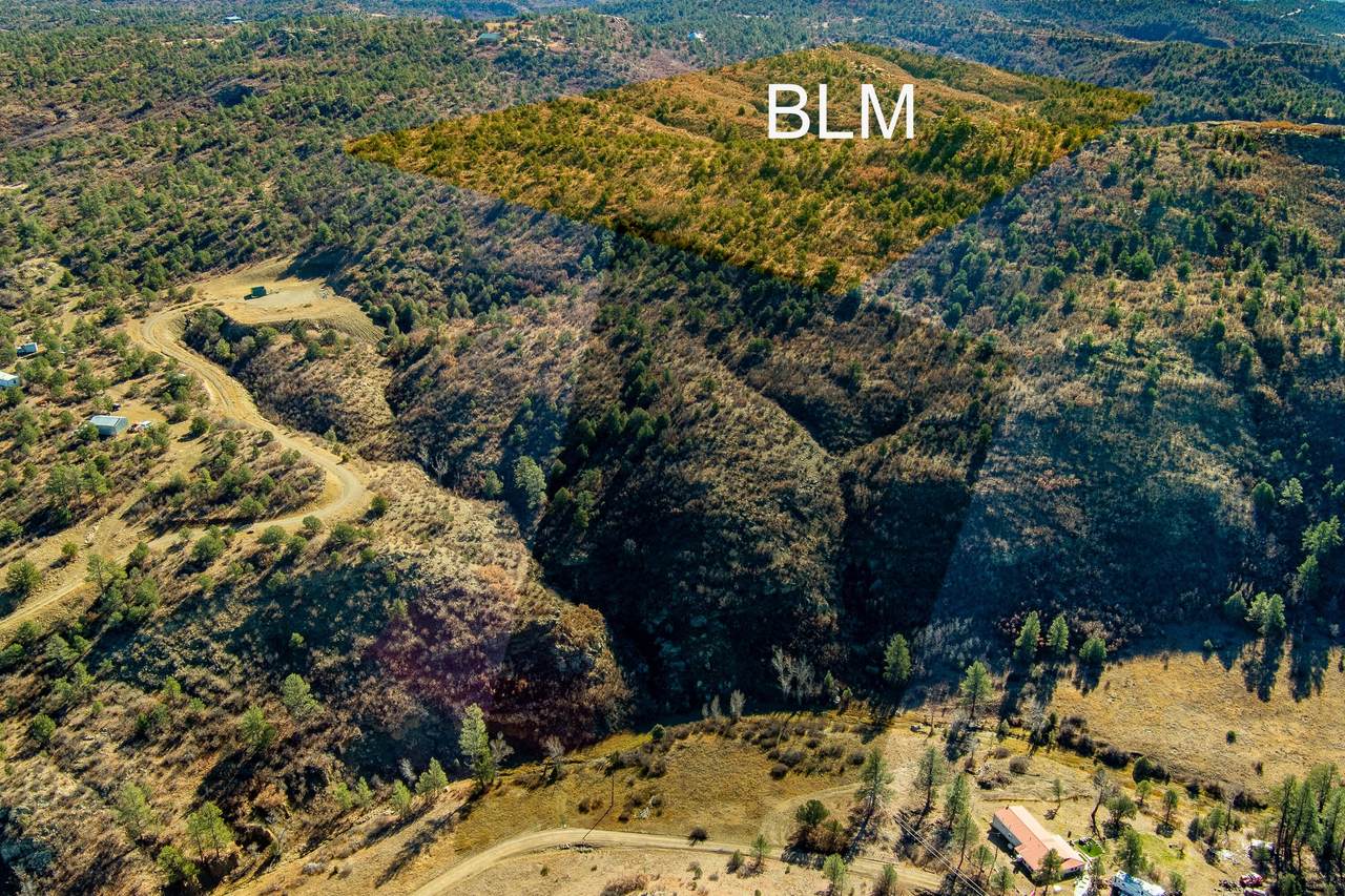 TBD W Silver Spruce Circle - Photo 1