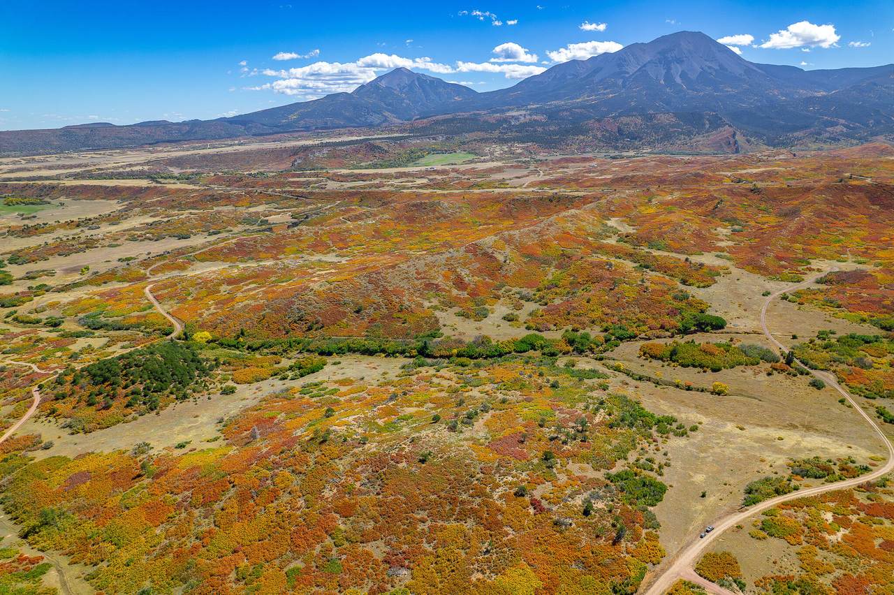 Lot 7 Piney Ridge Ranch - Photo 1