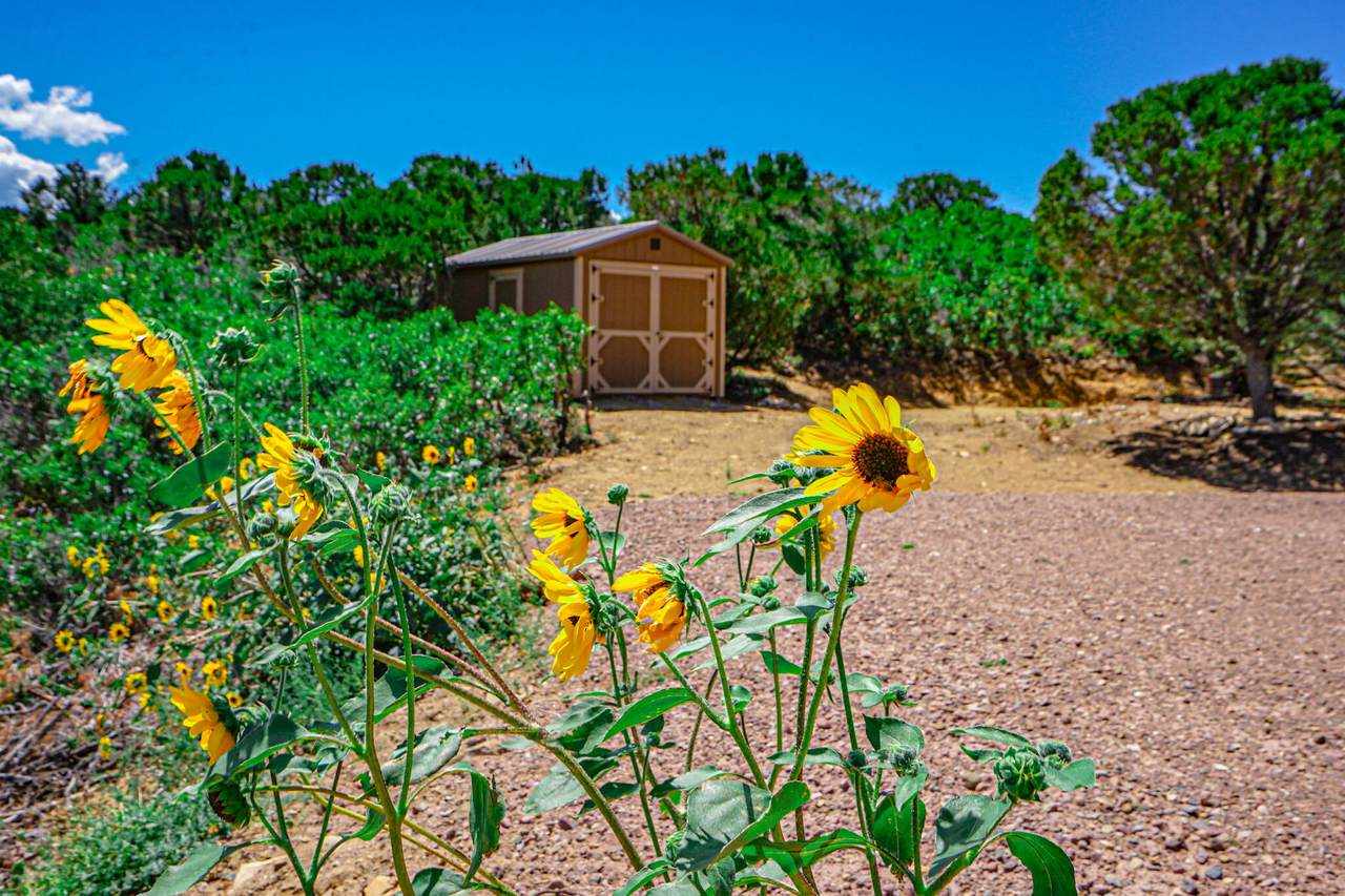 https://bt-photos.global.ssl.fastly.net/spanishpeaks/1280_boomver_1_25-1350-2.jpg