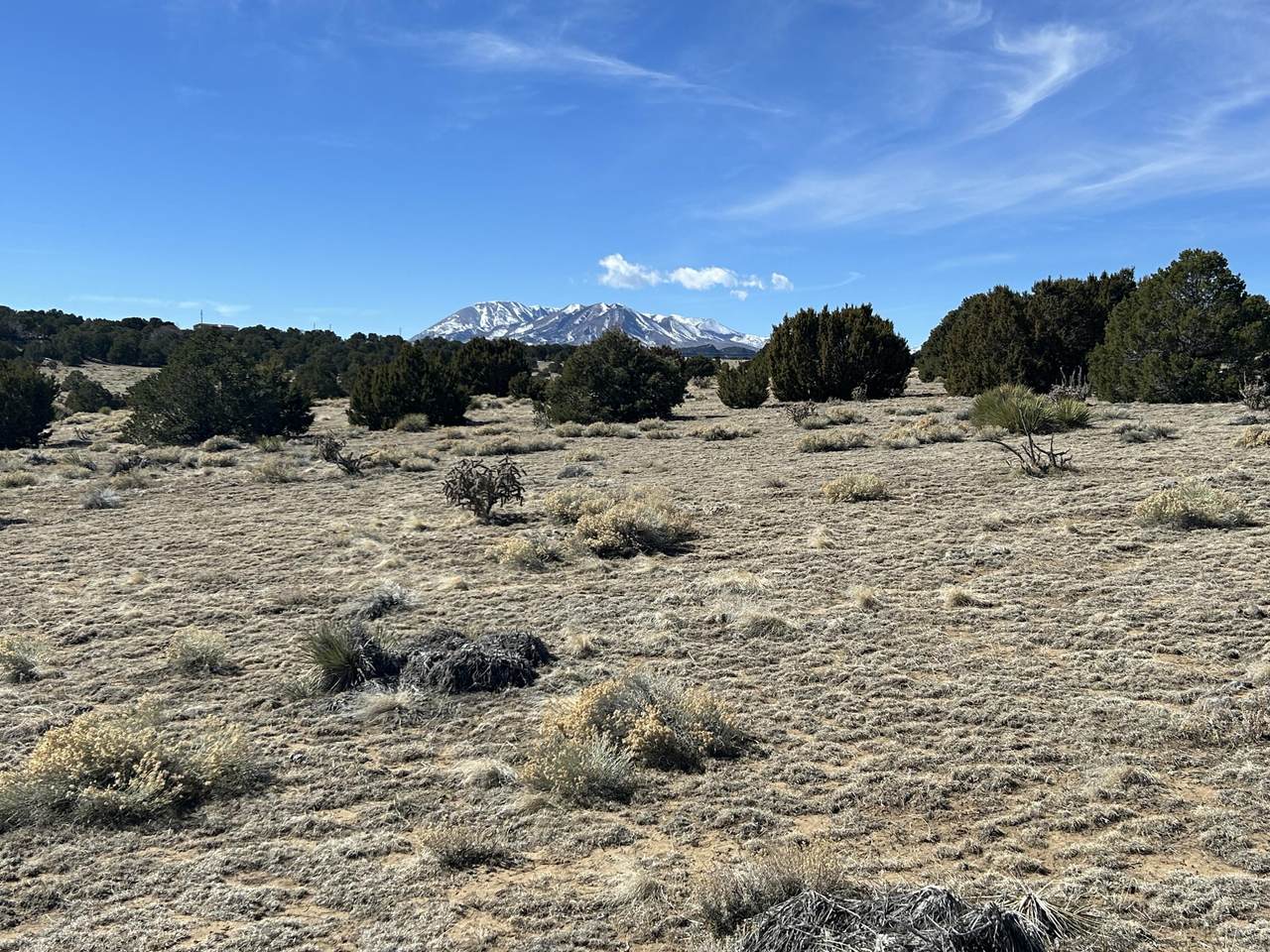 https://bt-photos.global.ssl.fastly.net/spanishpeaks/1280_boomver_1_25-205-2.jpg