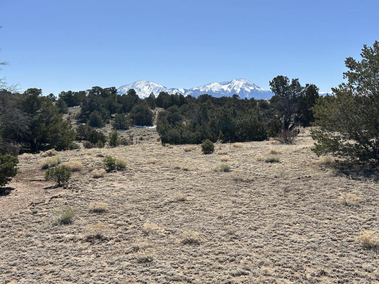 Lot 93 Twin Lakes Ranch - Photo 1