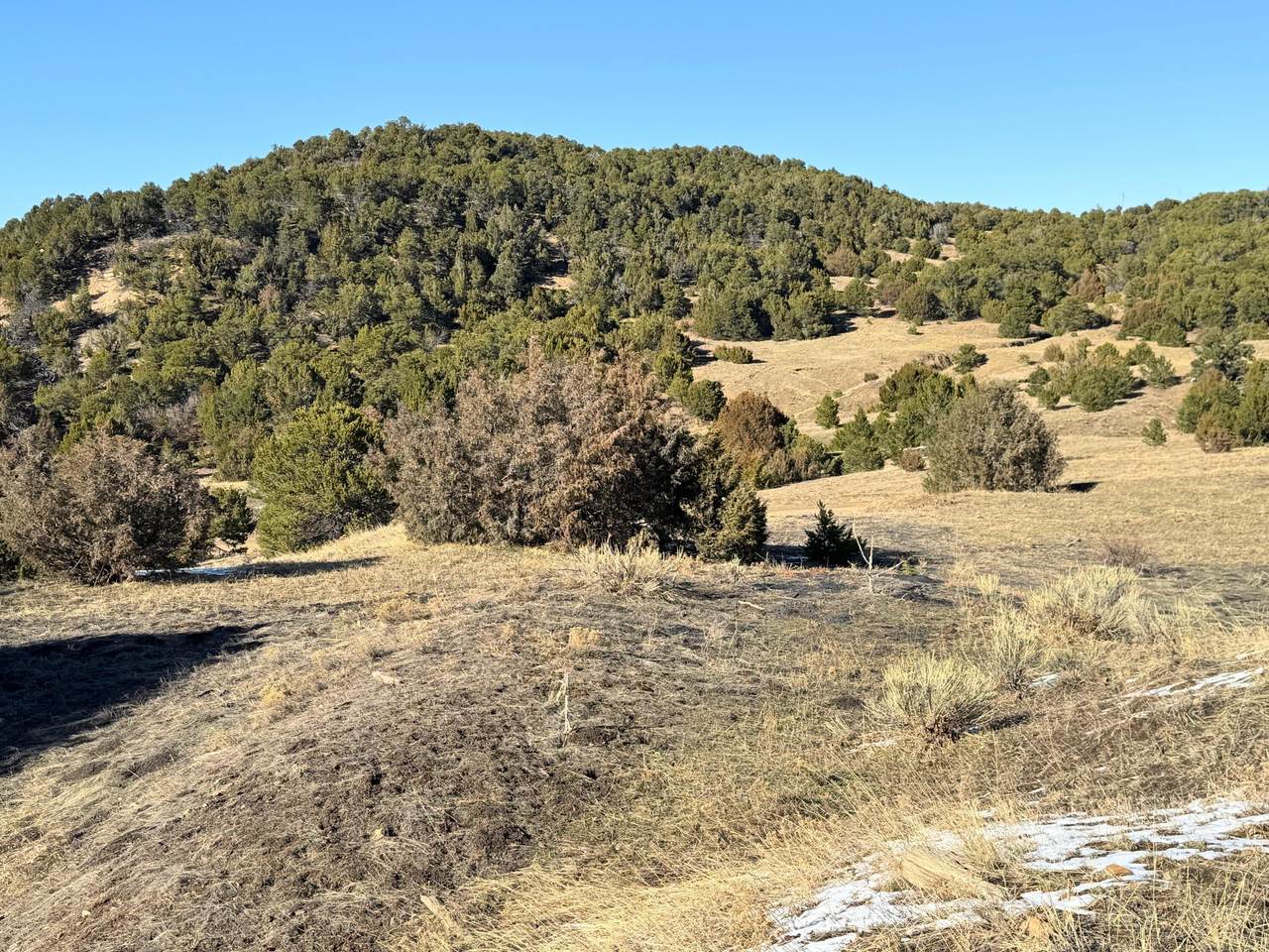 https://bt-photos.global.ssl.fastly.net/spanishpeaks/1280_boomver_1_25-221-2.jpg