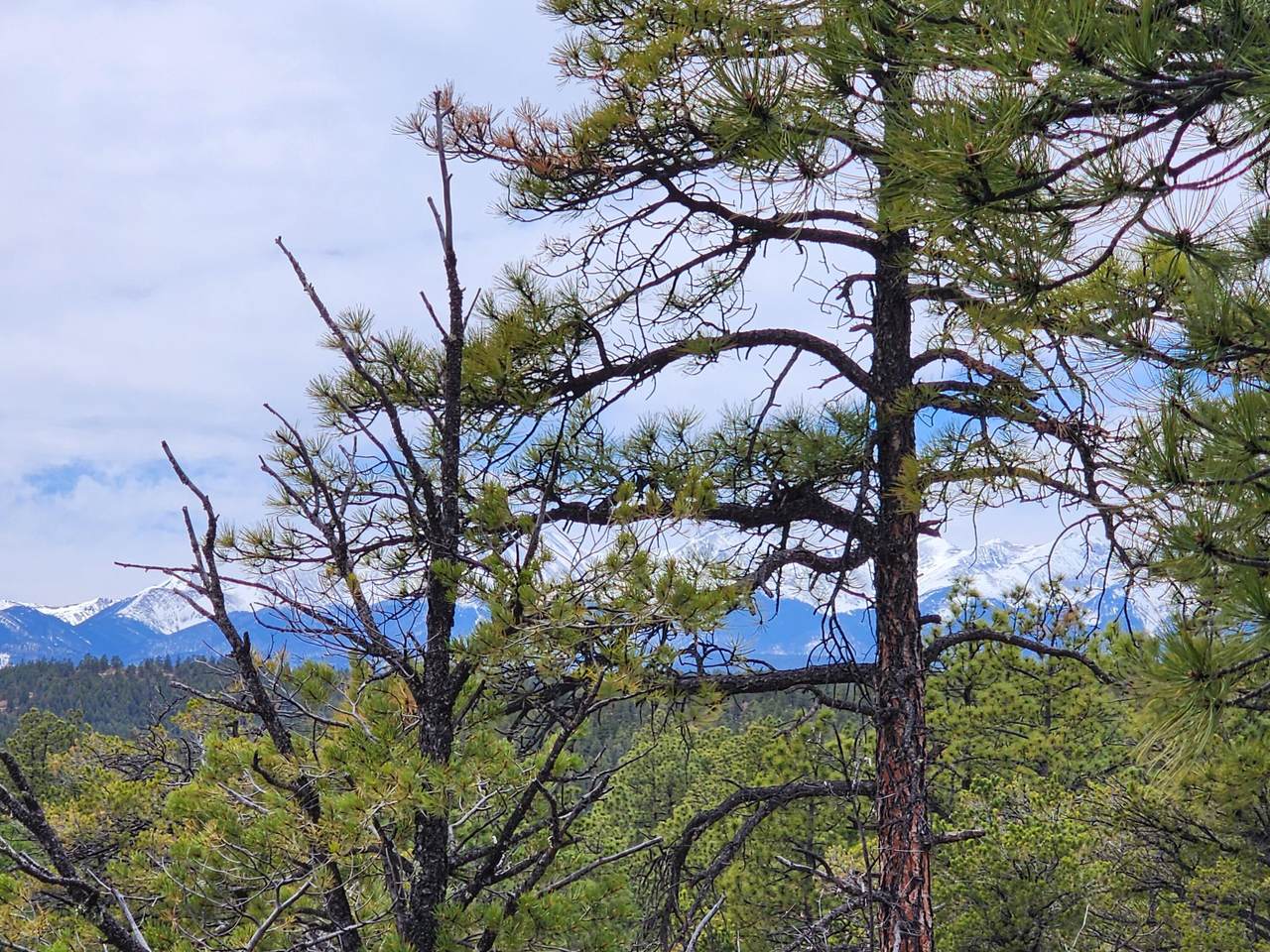 TBD Cimarron Ranch 33-32-67 Swsw - Photo 1