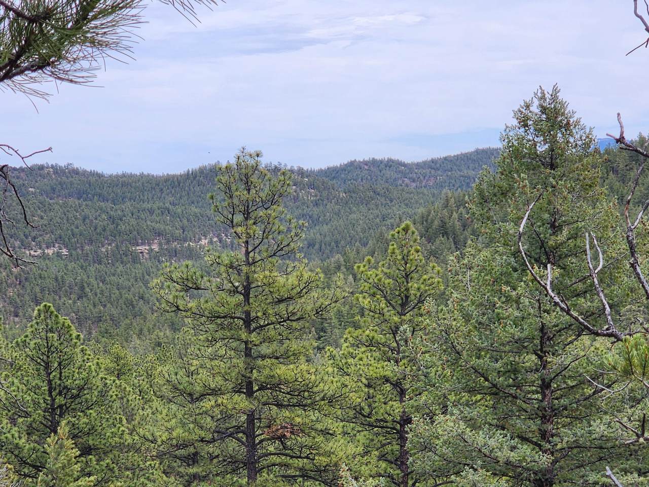 https://bt-photos.global.ssl.fastly.net/spanishpeaks/1280_boomver_1_25-266-2.jpg