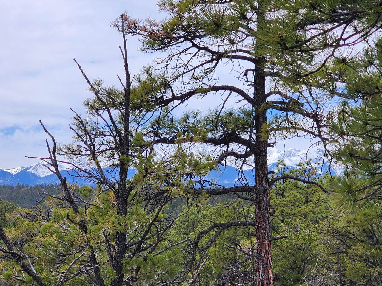 https://bt-photos.global.ssl.fastly.net/spanishpeaks/1280_boomver_1_25-266-2.jpg