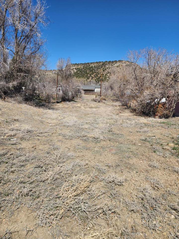 1039 Robinson - Photo 1