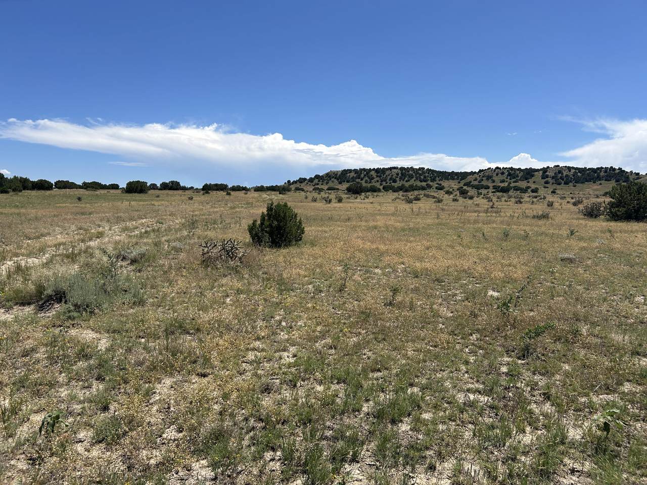 https://bt-photos.global.ssl.fastly.net/spanishpeaks/1280_boomver_2_25-30-2.jpg