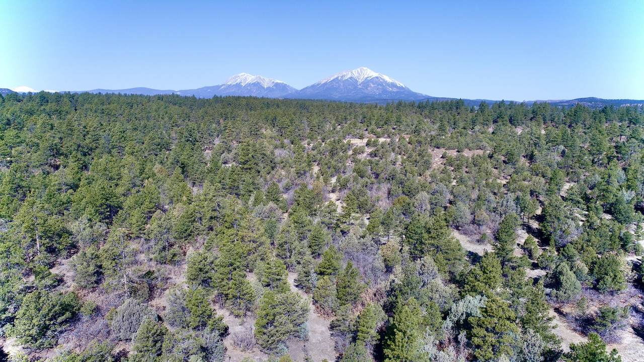 23251 Spirit Mountain Drive - Photo 1