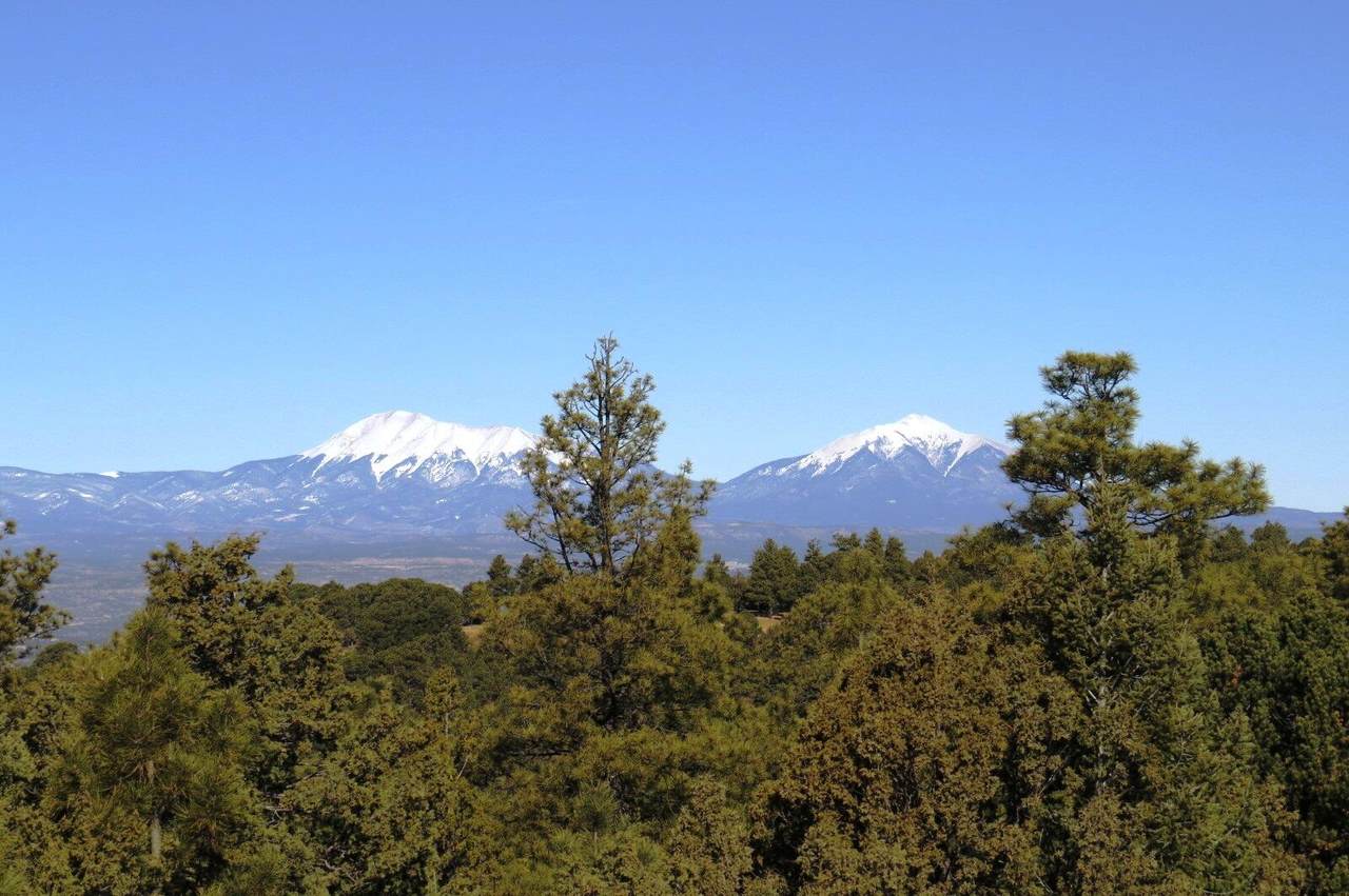 33375 Mountain View - Photo 1