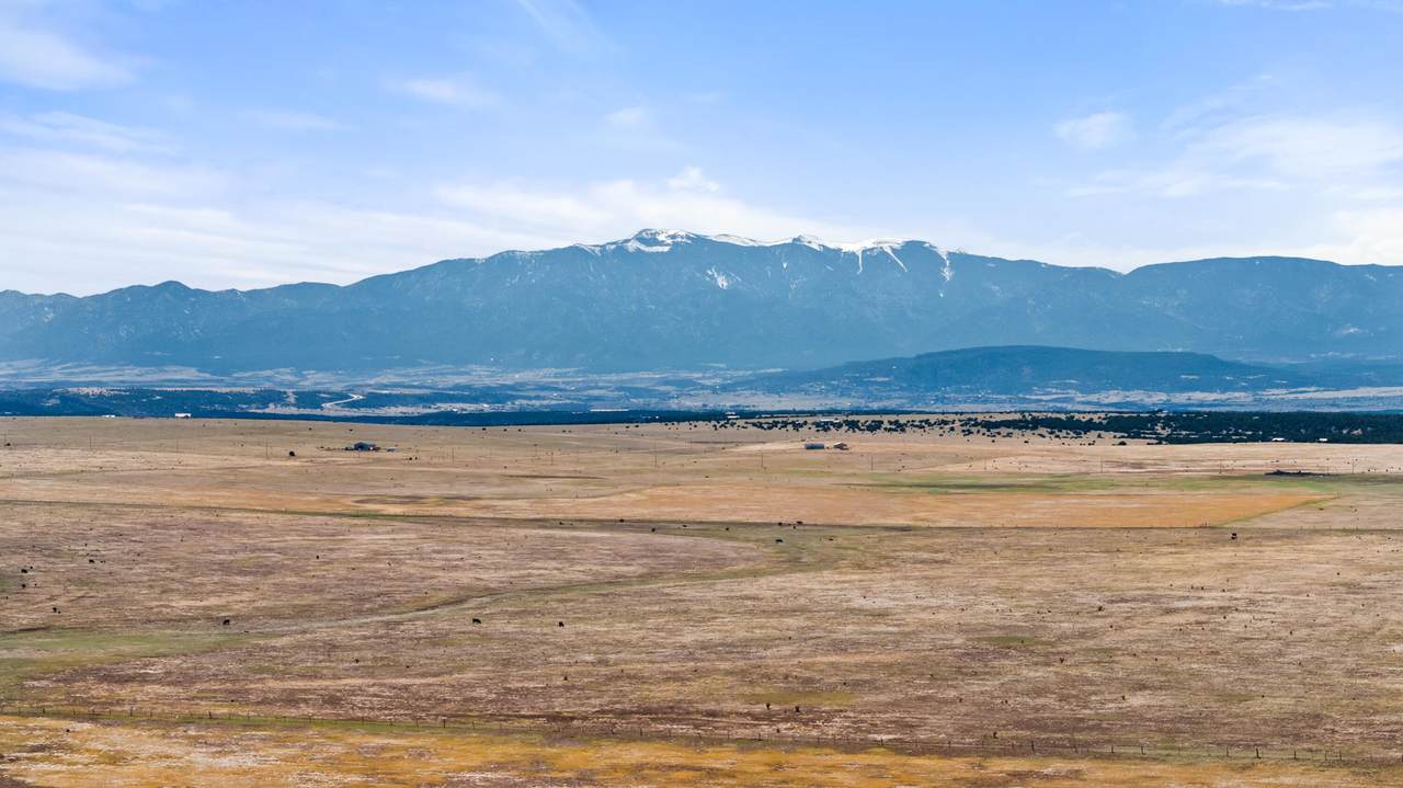 TBD Mule Deer Drive - Photo 1