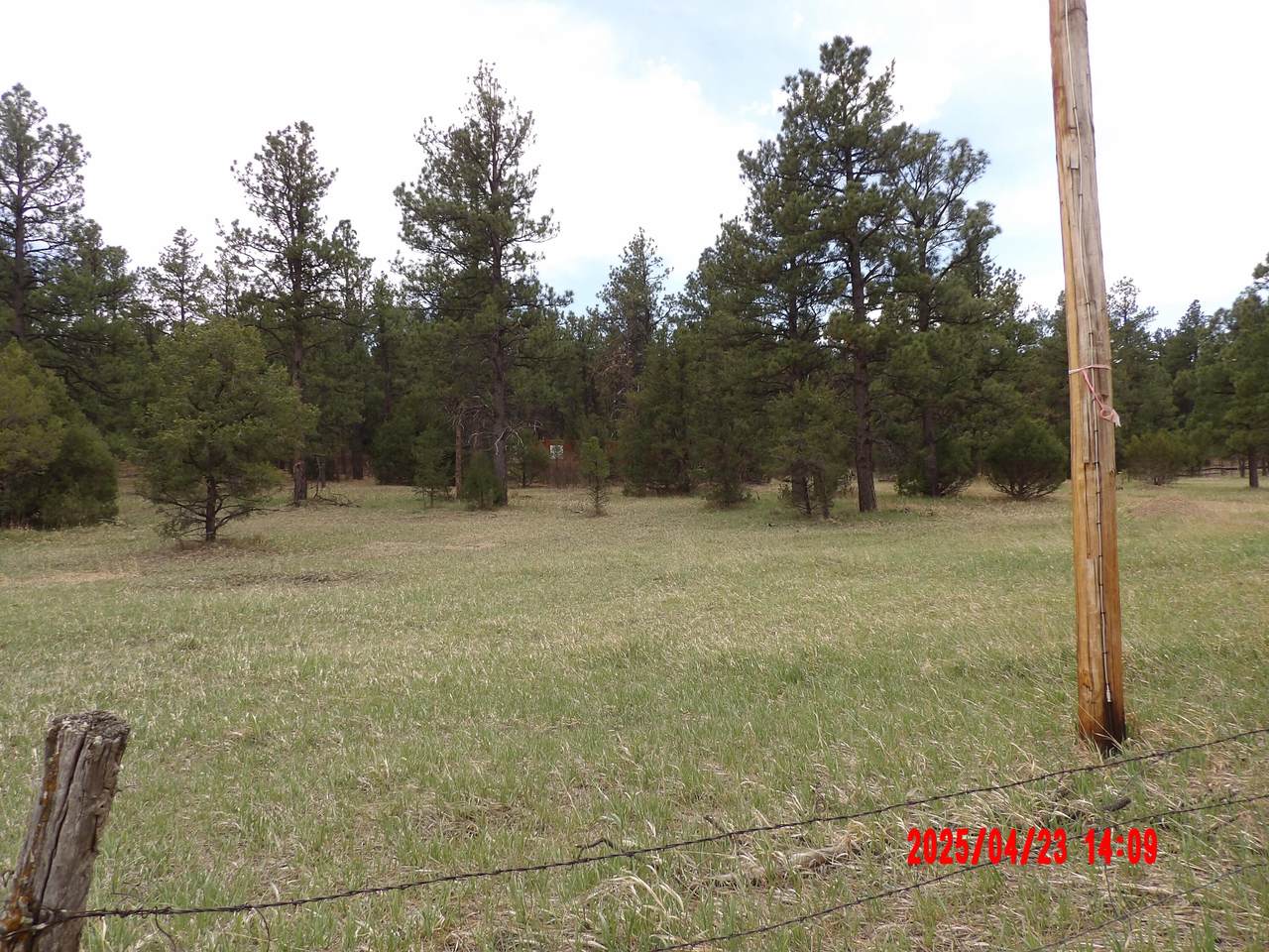 23704 Verde Loma - Photo 1