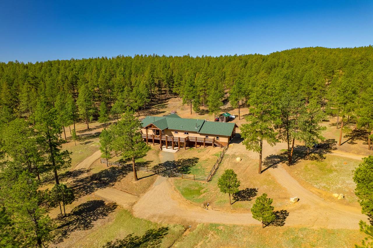 14552 Timber Valley Drive - Photo 1