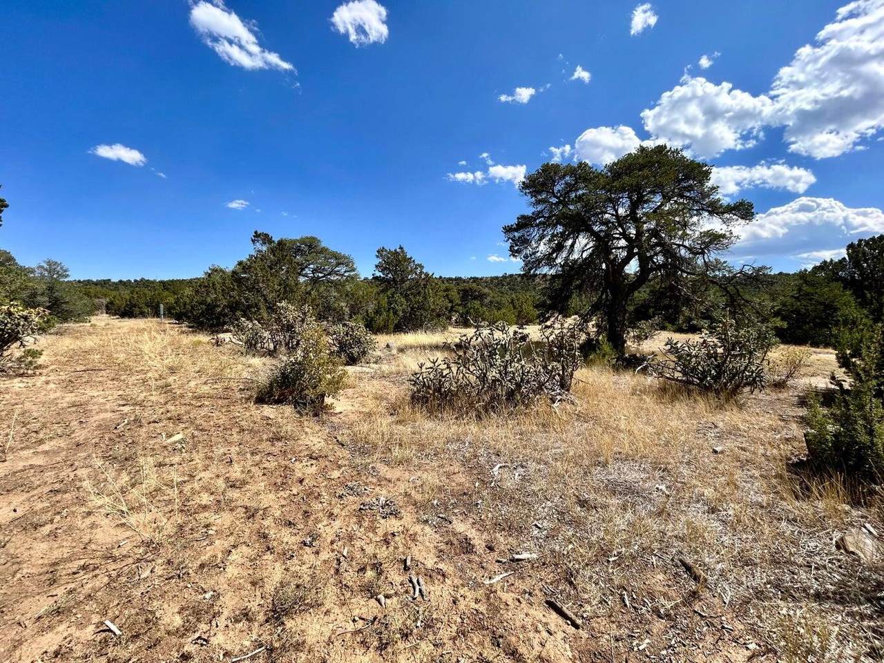 Lot 919 Los Vaqueros Circle - Photo 1