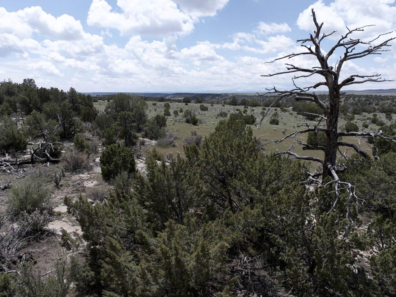 TBD Vista View Rd - Photo 1