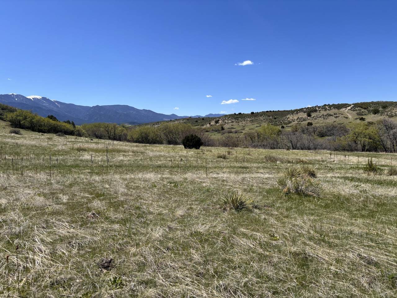 Lot 427 Patsy Cir - Photo 1