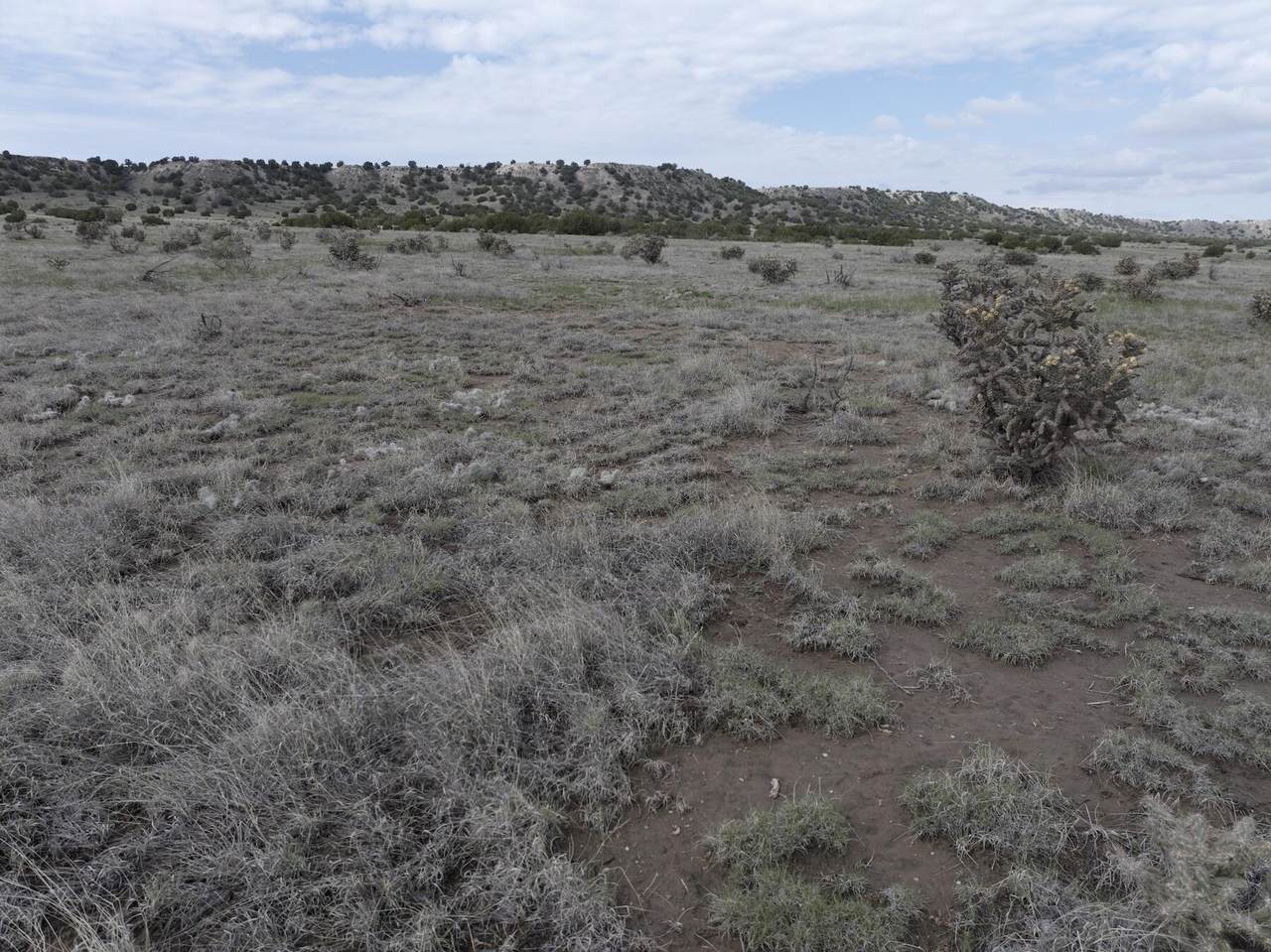 TBD County Road 62.8 - Photo 1