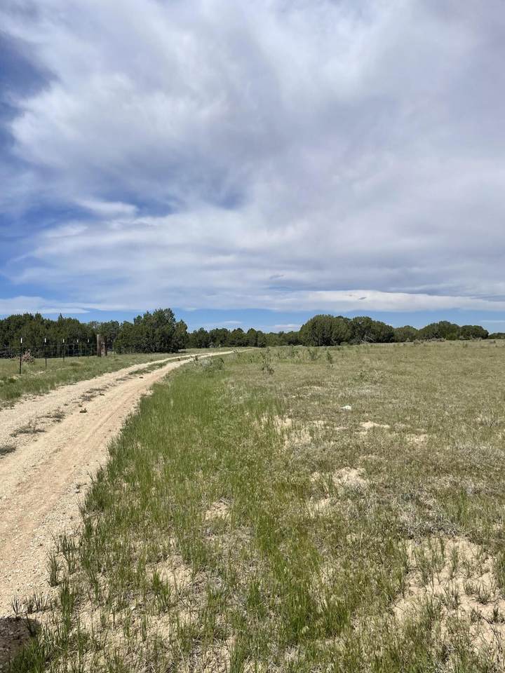 TBD Pinon Canyon Rd - Photo 1