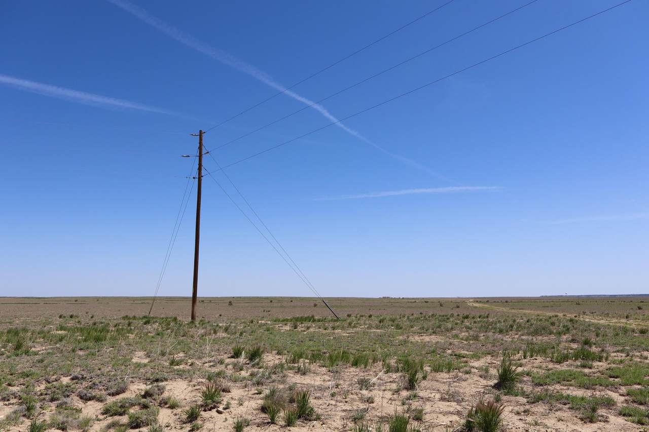 TBD County Road 101.5 - Photo 1